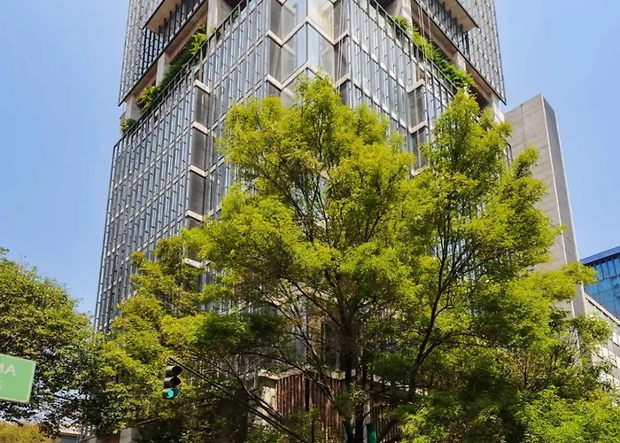 Upscale Loft In The Heart Of Cuauhtemoc