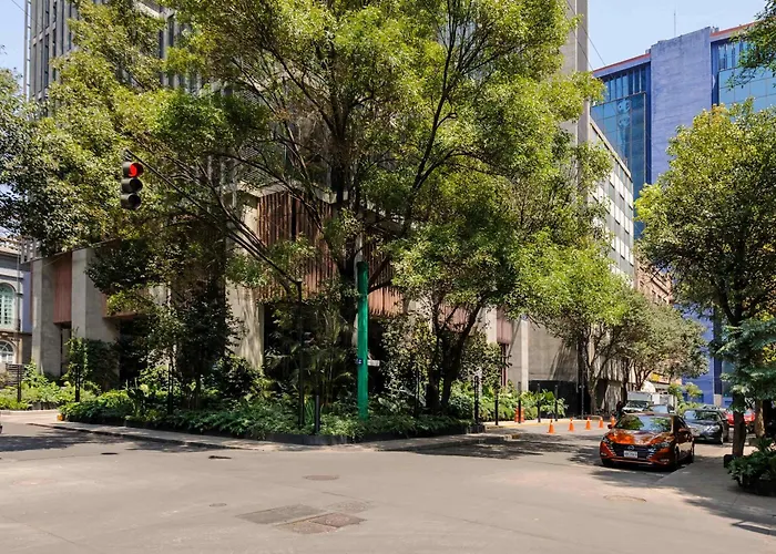 Upscale Loft In The Heart Of Cuauhtemoc